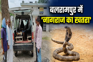 SNAKE BITE CASES IN BALRAMPUR