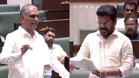 MLA Harish Rao vs CM Revanth Reddy