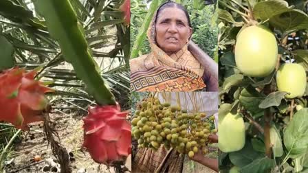 Mixed Farming Of Fruits In Beed