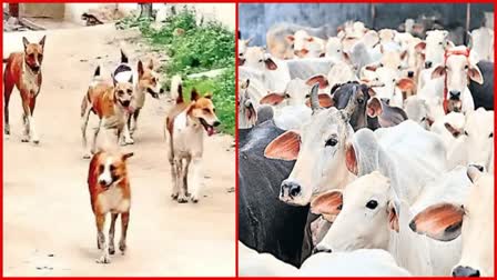 Bapatla People Facing Difficulties as Dogs and Cows