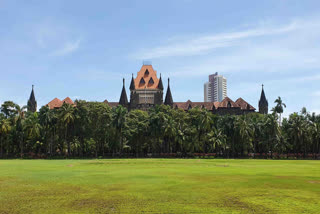 Hadapsar Garbage Depot Poses Aircraft-Bird Collision Risk, Locals File Petition In Bombay HC