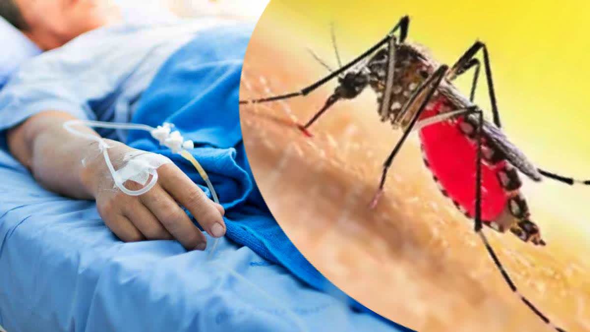 Japanese encephalitis and Dengue Outbreak in Assam