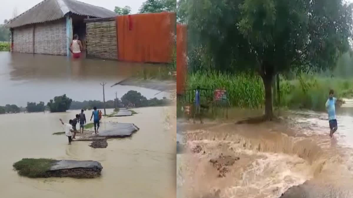 FLOOD IN BIHAR MANY RIVERS FLOWING ABOVE THE DANGER MARK INCLUDING GANGA KOSI AND GANDAK RIVER