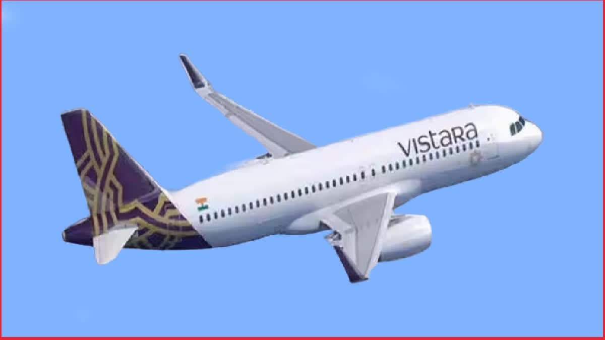 Delhi Vistara Flight