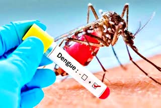 dengue virus turns more virulent under higher temperature revealed in new research