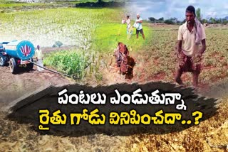 NO Relief Actions on Drought Situation In AP