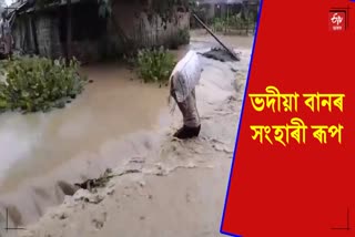 Flood in LAKHIMPUR