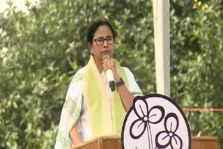 Another goof-up: Mamata Banerjee says Kazi Nazrul Islam wrote 'Mahabharata'