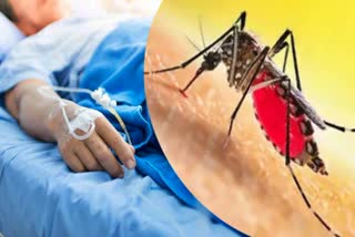 Japanese encephalitis and Dengue Outbreak in Assam