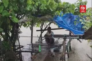 Flood at Chabua