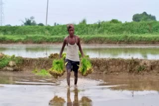 drought in palamu