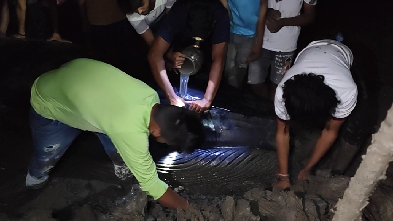 20 feet long whale fish found stranded on the beach of Olpad in Surat