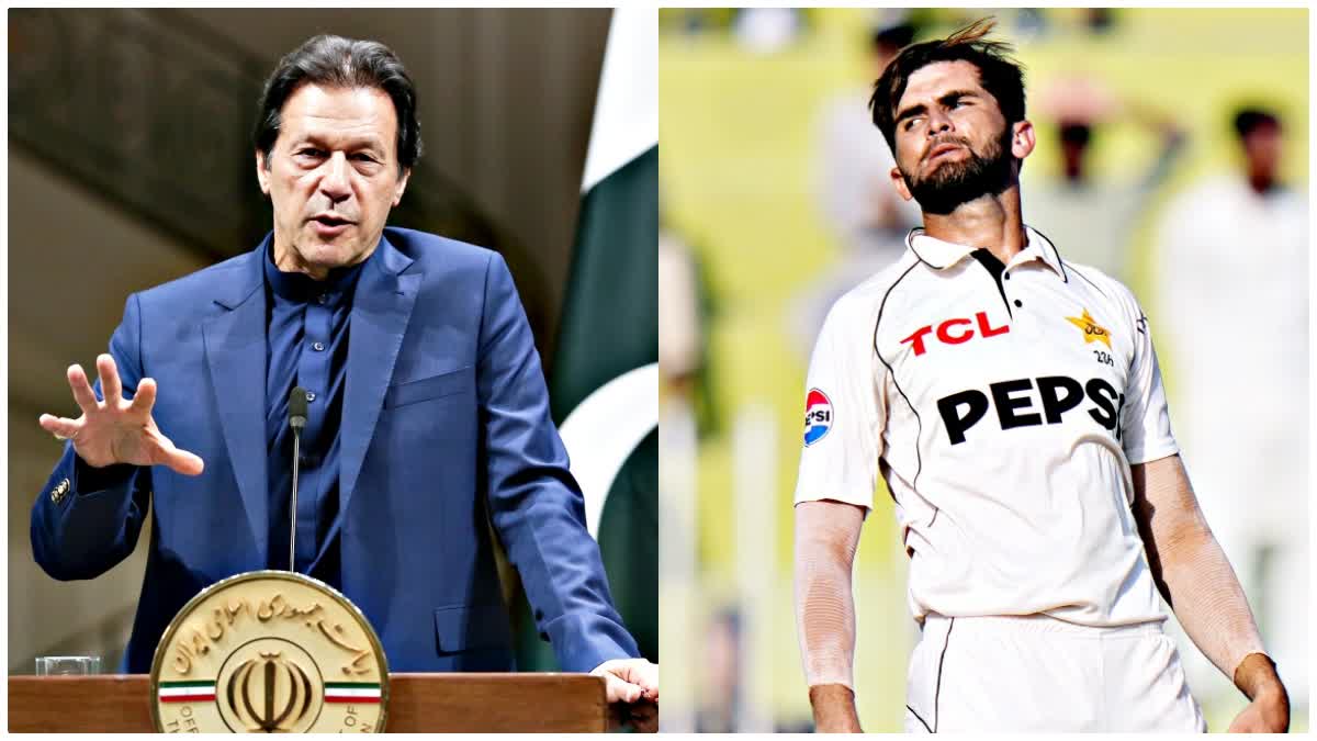 IMRAN SLAMS NAQVI