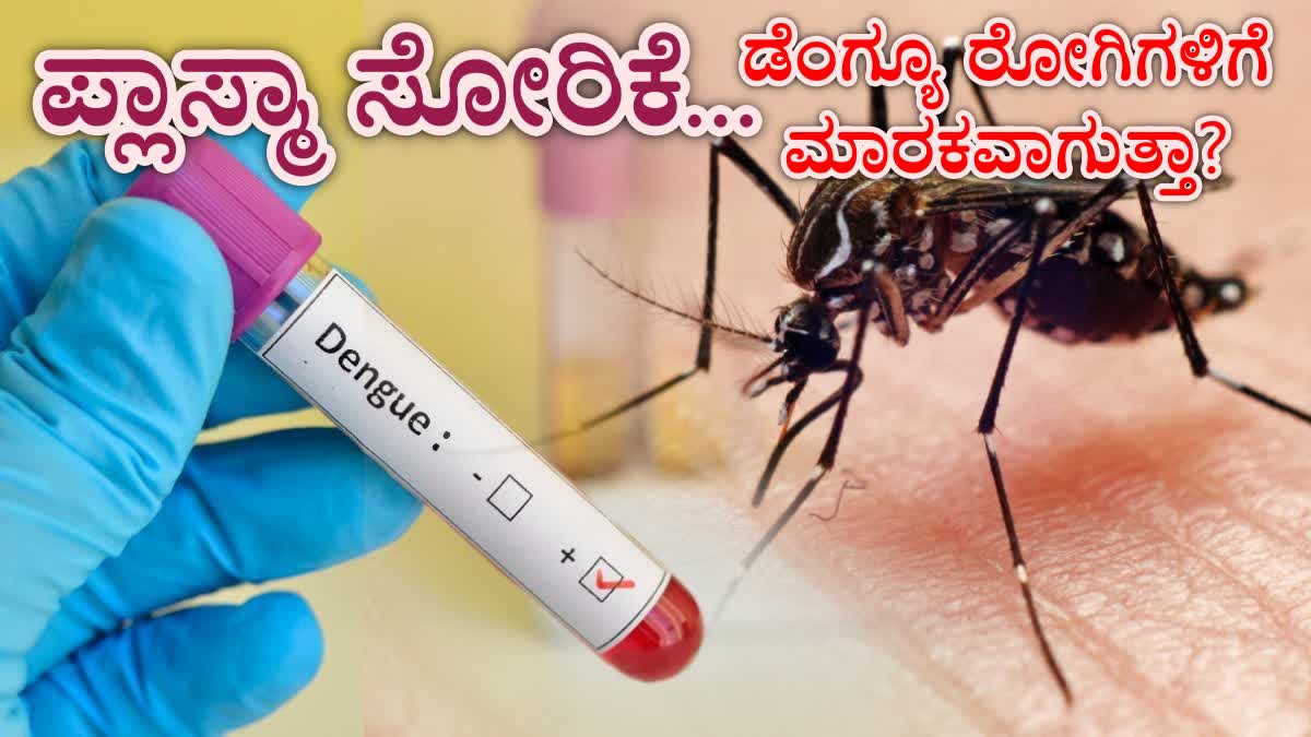 DENGUE SYMPTOMS  DENGUE PATIENT PLASMA LEAKAGE  PLASMA LEAKAGE IN DENGUE PATIENT  DENGUE TREATMENT