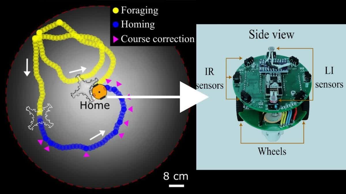 A robot developed by IIT Bombay