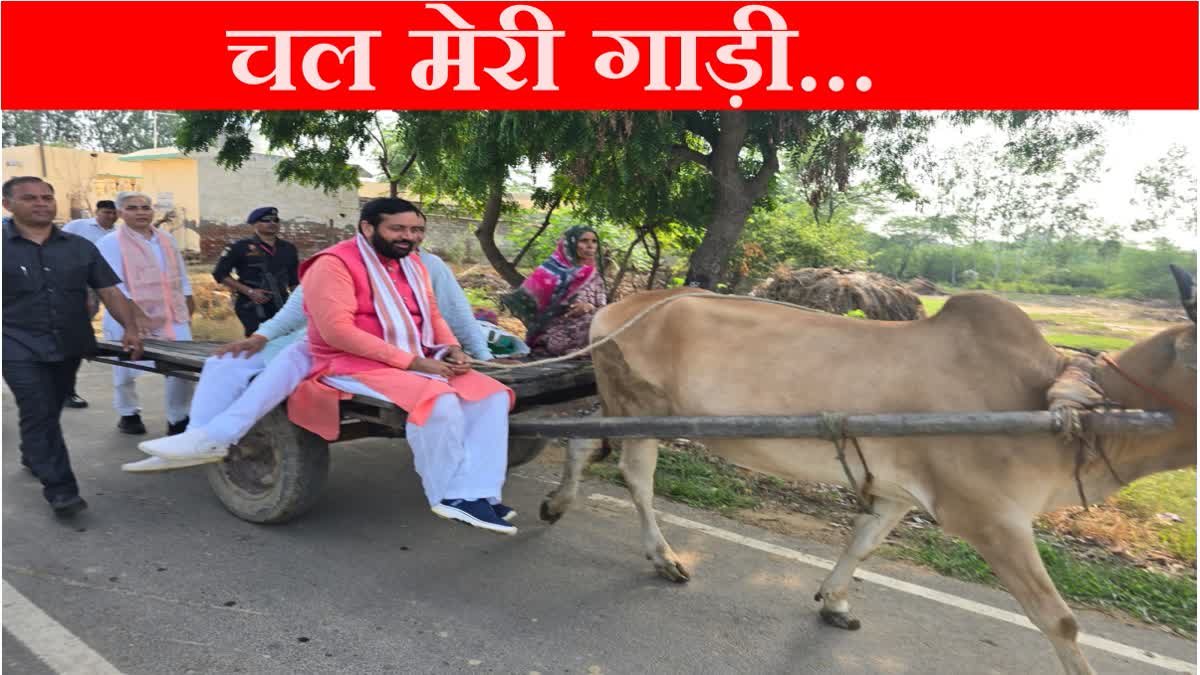 Chief Minister Nayab Singh Saini rides bullock cart in Jind of Haryana