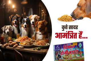 REVATI AREA DOGGY DHABA