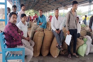 FARMERS PROTEST LOW SOYBEAN PRICES