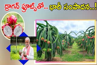 Telangana Govt orchard promotion