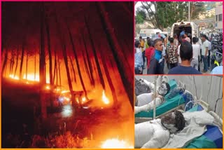 ALMORA FOREST FIRE CASE