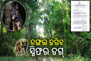 sniffer dogs to guard forests