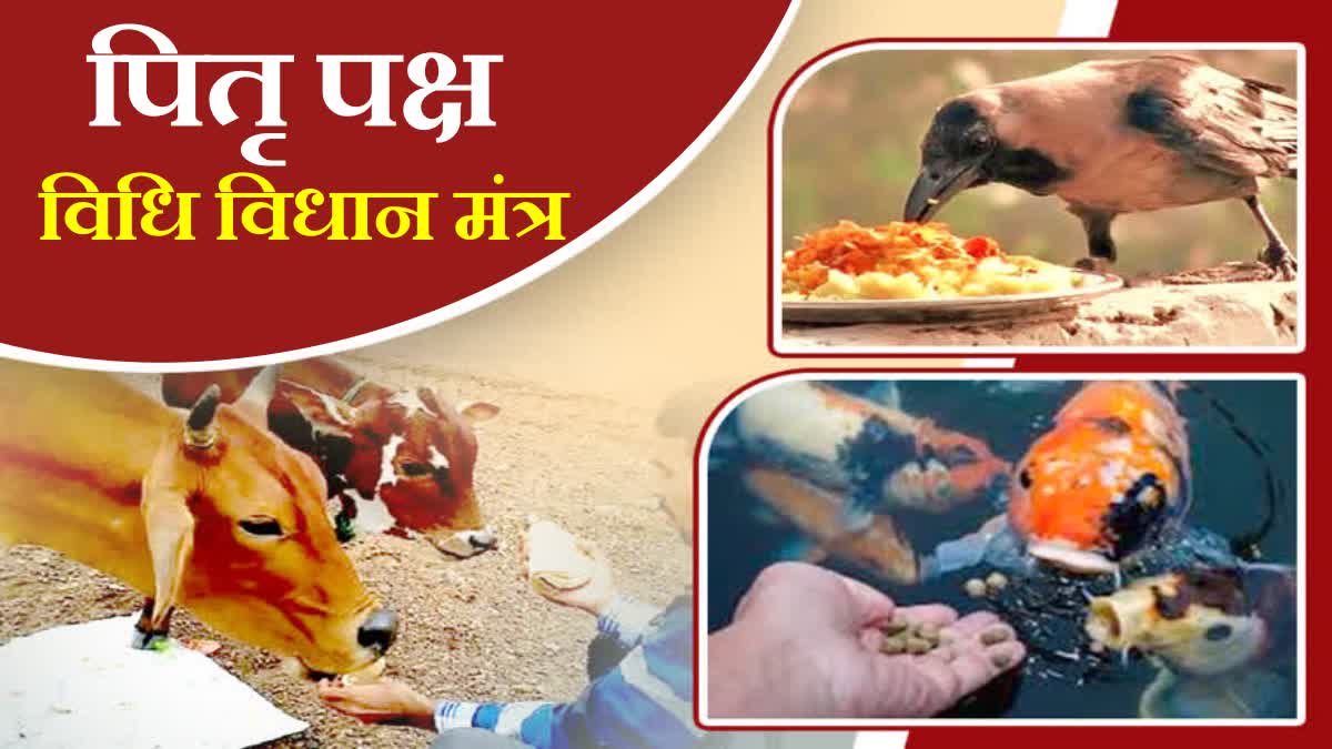 Shraddha Paksha 2023 Shraddha Paksha mantra significance of tarpan in Pitru Paksha