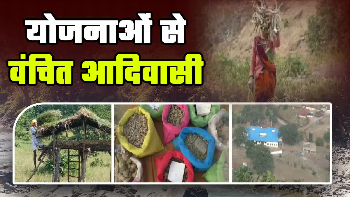 patalkot tribal problem biodiversity