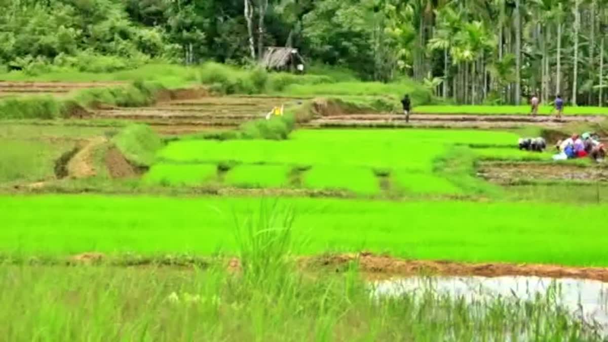 ಭೂಮಿಯ ಹಕ್ಕು