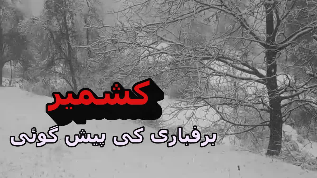 Met Predicts Snowfall in Kashmir: کشمیر، اگلے چوبیس گھنٹوں کے دوران برف باری کی پیشگوئی