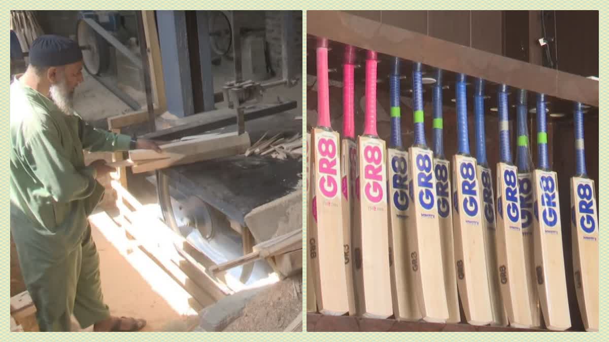 As Cricket World Cup 2023 approaches, demand for Kashmir willow bats surges