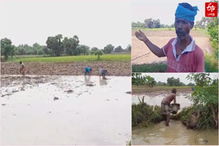 will-water-be-opened-for-samba-cultivation-tiruvarur-farmers-are-worried