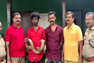 Iruthalamuri  Western Blind Snake Smuggling  Snake Smuggling Youth Arrested In Idukki  ഇരുതലമൂരിയെ വില്‍ക്കാന്‍ ശ്രമം  യുവാവ് അറസ്റ്റില്‍  കൊല്ലം വാര്‍ത്തകള്‍  കൊല്ലം ജില്ല വാര്‍ത്തകള്‍