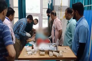 ریچھ کے حملہ میں 36 سالہ خاتون شدید زخمی