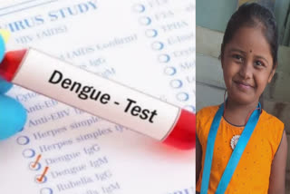 Girl child dies of dengue fever in Tirupathur