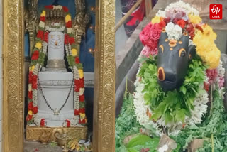 போடிநாயக்கனூர் கொண்டரங்கி மல்லையா கோயில் பிரதோஷம்