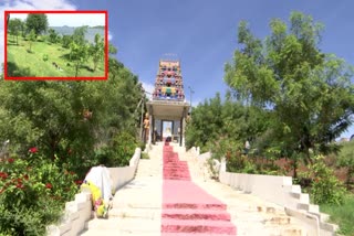 Attracting_Devotees_to_Sri_Venkateswara_Swamy_Temple_Garden