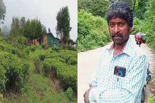 Coonoor Leopard Attack