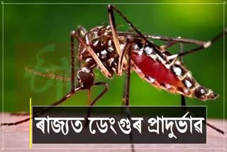 Dengue Outbreak in Assam