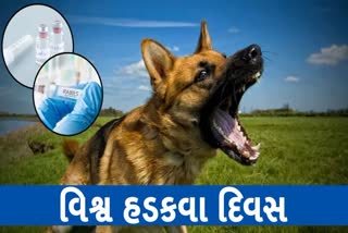 Etv BharatWorld Rabies Day 2023