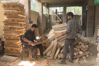 As World Cup approaches, demand for the Kashmir willow bats urges