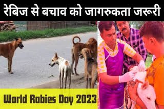 World Rabies Day