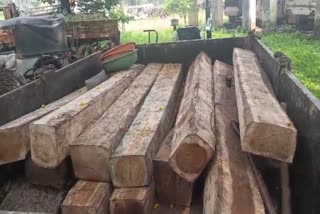 Bilaspur Wood Smuggling