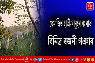 Wild elephant terror in Dhemaji