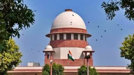 SC On Haryana Plea : સુપ્રીમ કોર્ટે હરિયાણા સરકારની અરજી ફગાવી, હાઈકોર્ટના ન્યાયાધીશો અંગે કર્યું મહત્ત્વપૂર્ણ અવલોકન