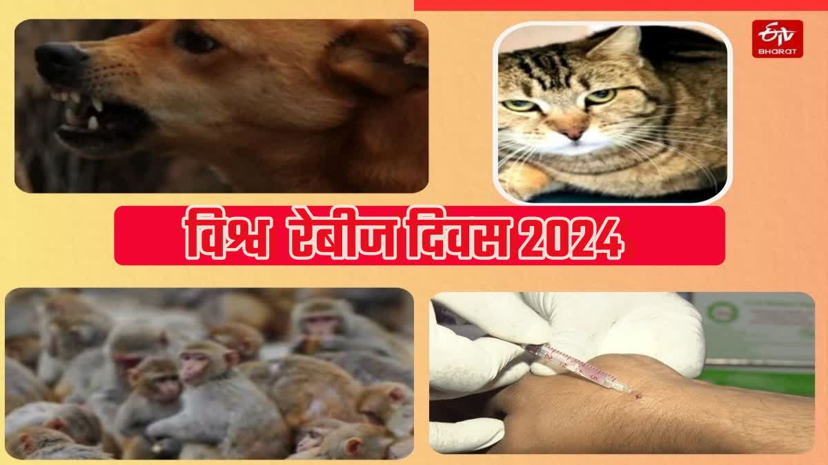 World Rabies Day 2024