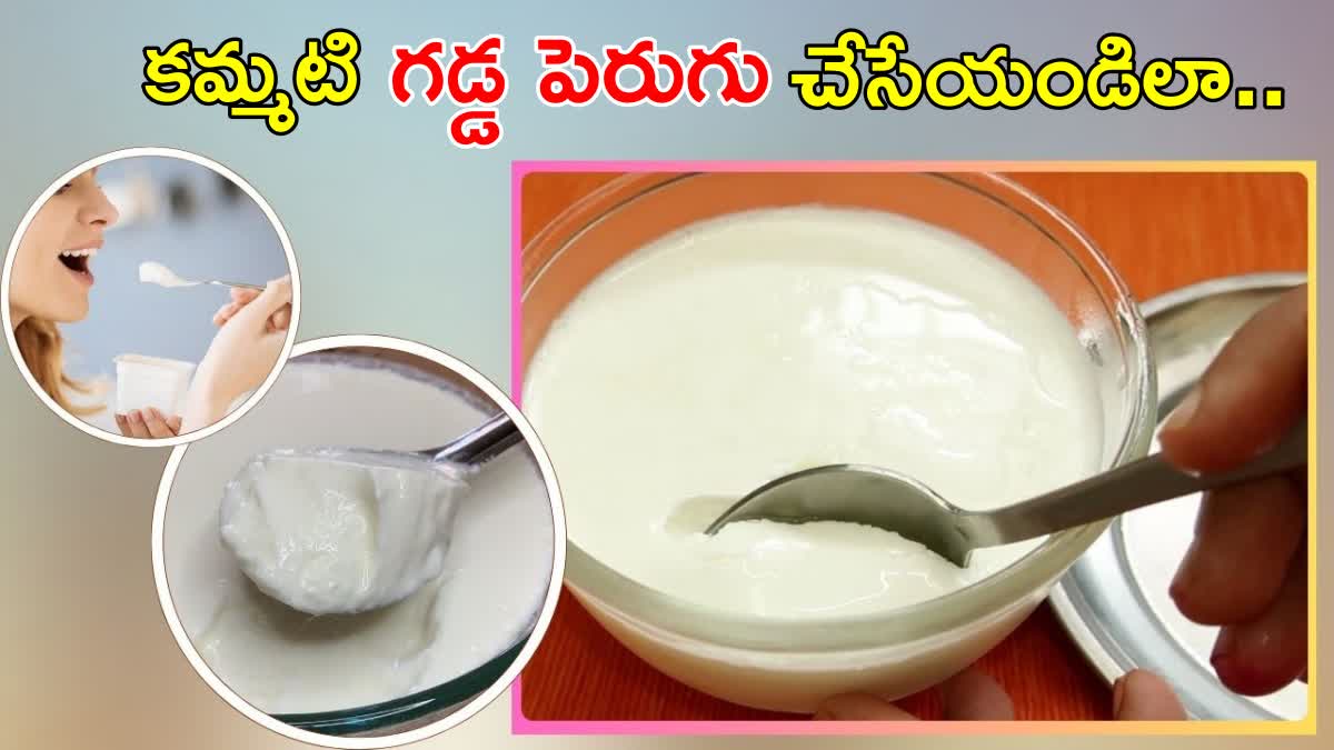 Thick Curd At Home