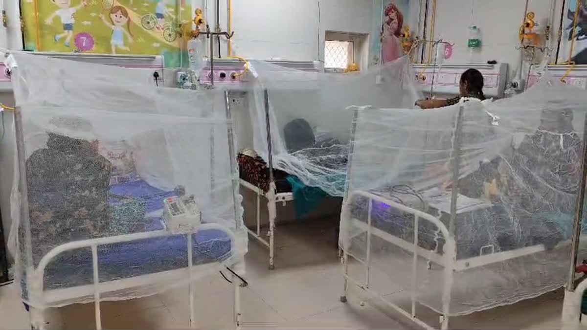 Beds fitted with mosquito nets at Kota hospital in Rajasthan