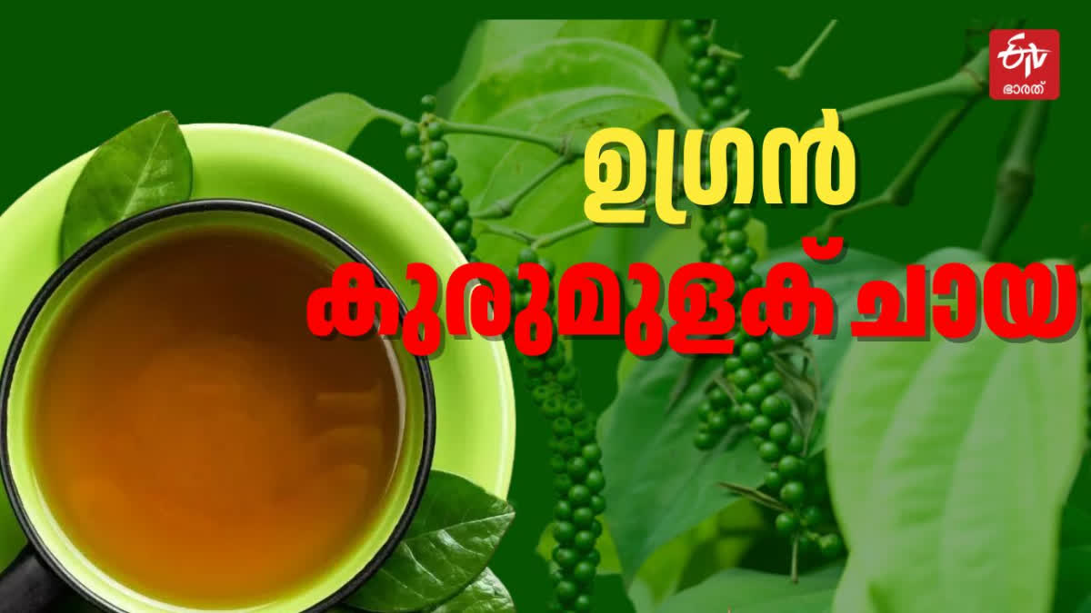 HOW TO MAKE PEPPER TEA  CARDAMOM TEA RECIPE  കുരുമുളക് ചായ റെസിപ്പി  വെറൈറ്റി ചായ റെസിപ്പി