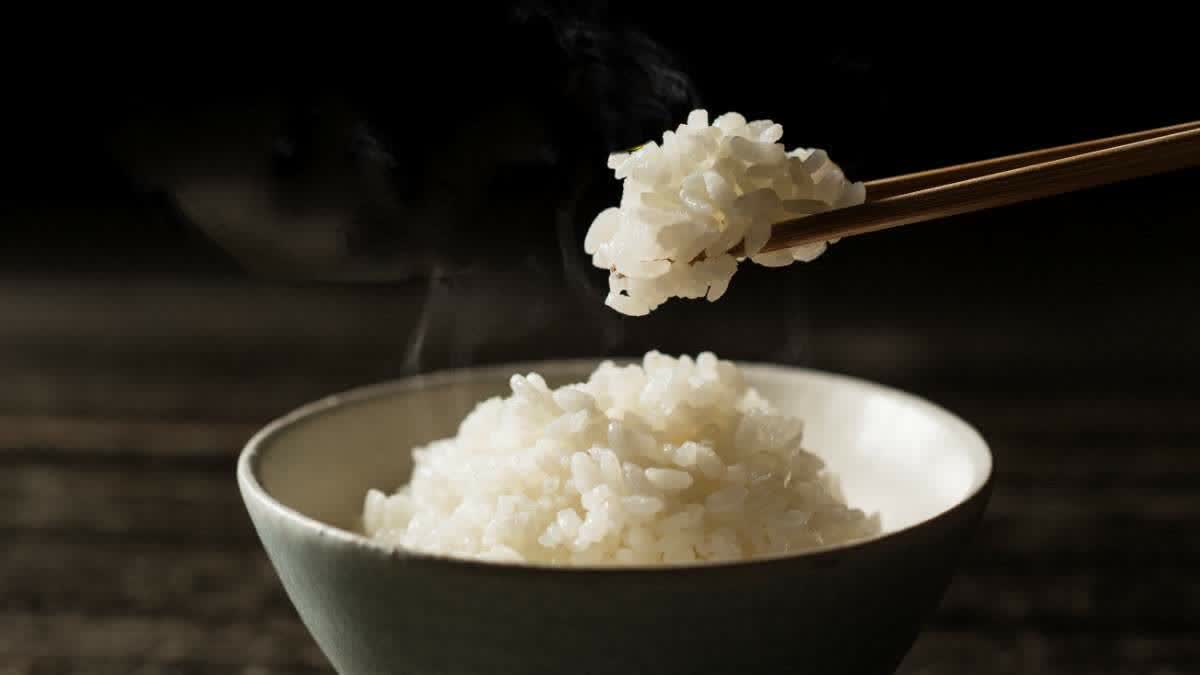 Why should we not eat rice at night