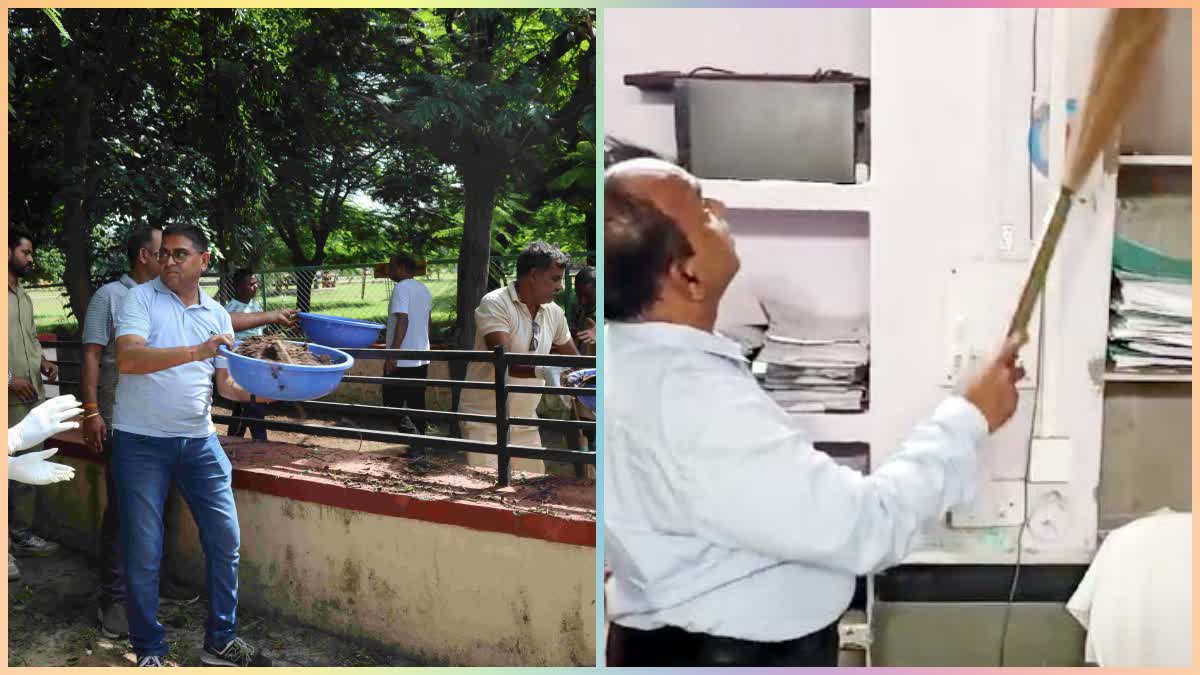 Collector Seen Cleaning Office